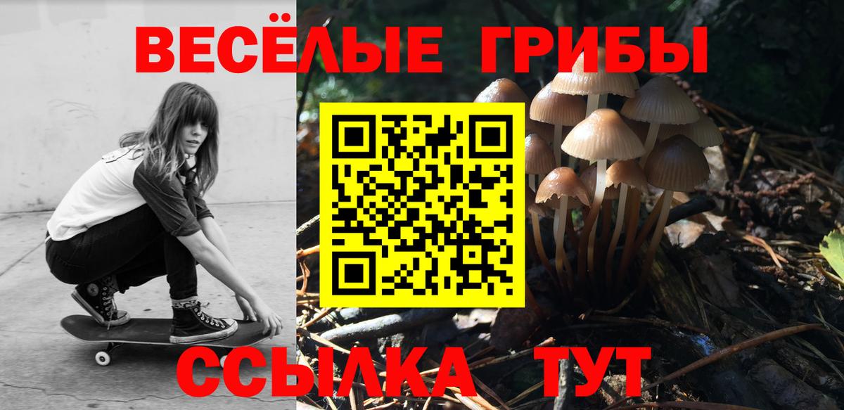 Псилоцибиновые грибы Керчь