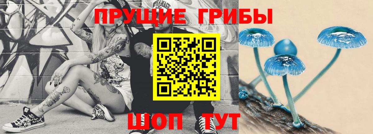 Галлюциногенные грибы Cubensis Керчь