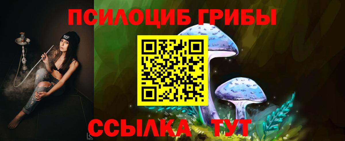 Керчь  Галлюциногенные грибы Psilocybe  Вход с VPN 