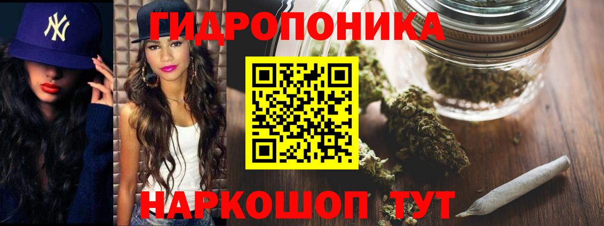 Канабис семена  Вход с VPN  Конопля ГИДРОПОН  Керчь  Шишки марихуана Bruce Banner 